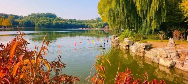 这个季节总要去趟正定，去邂逅那迷人的古建红和金秋黄！