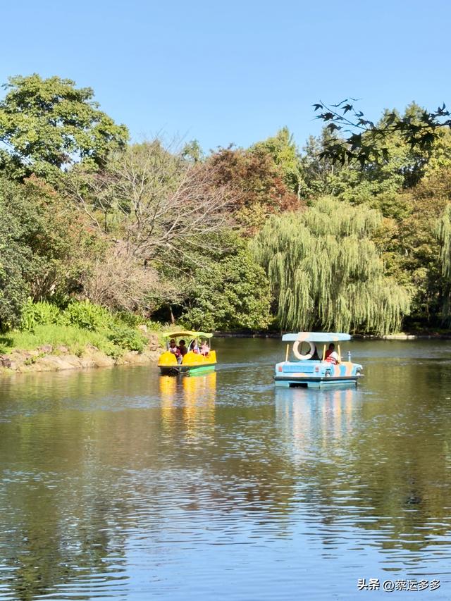 重阳节，上海赏秋之美