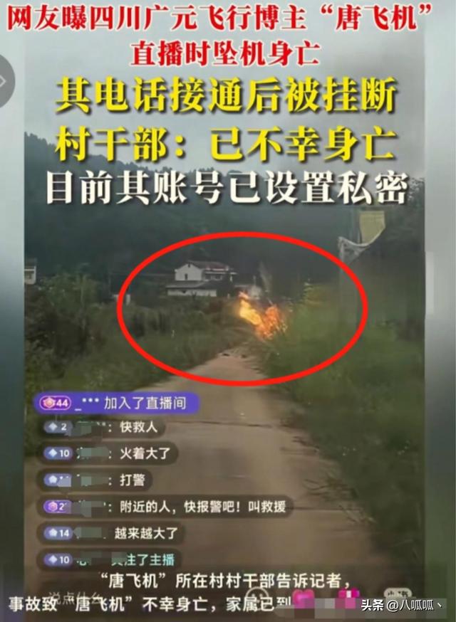网红开飞机坠机身亡后续：飞机花了35万，烧的只剩一条腿 本可活命