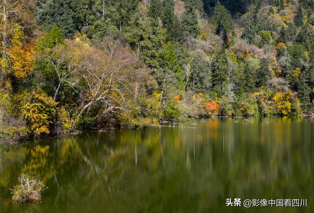 四川九寨沟：甲勿池金秋好风光