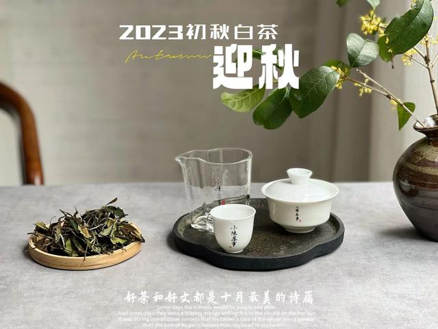 夏秋换季，多喝这3种好茶，驱散秋燥、暖身暖心
