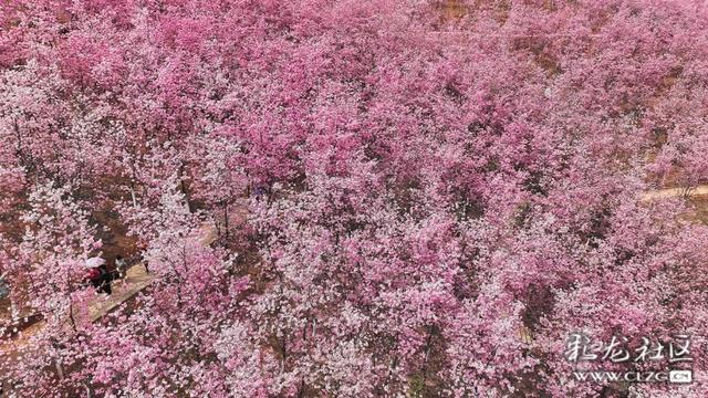 旅居云南·昆明好在（十二）山美水美物美，宜居宜游宜良