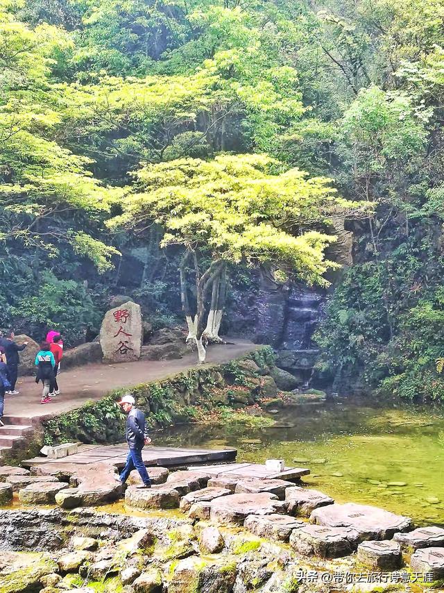 三峡大瀑布景区的野趣