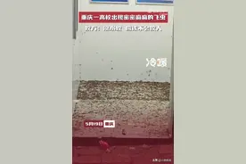 重庆一高校出现密密麻麻飞虫 校方：涨水蚊 应该不会咬人图片