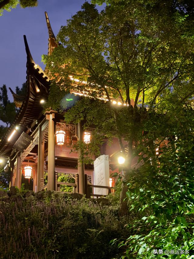 夜游上海古猗园，夜景璀璨迷人