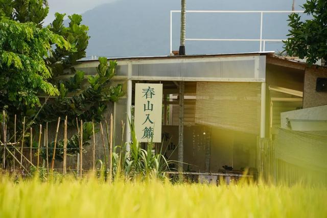 三场大赛嗨到年底！跟着冲浪赛游万宁，在暖冬里重温夏日