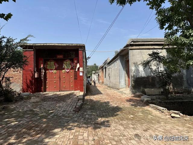 冠县乡韵·定远寨镇前杏园村
