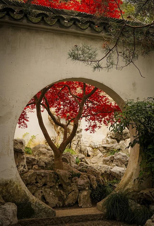枫叶不输北国，园林比故宫浪漫！这座城市私藏了江南的所有秋天