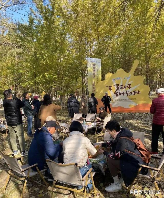 沈阳这里成最晚入黄赏秋胜地！沈水湾银杏林进入最佳观赏期