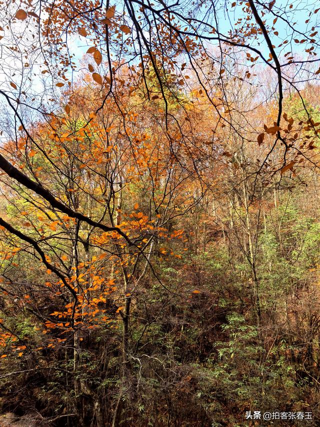 巴中南江光雾山18月潭瀑布群探秘