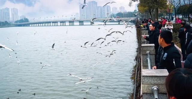 以林为媒 以旅兴业 让雨城绿水青山持续变现