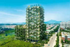 为什么盯着碧桂园不放图片