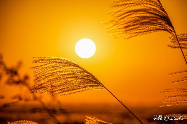 摄影年鉴|2025，我的风光摄影作品——日出日落篇