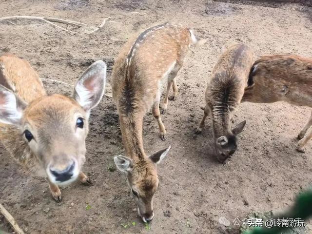 西安地铁10号线直达，承载708090后人记忆的未央湖公园变样了！