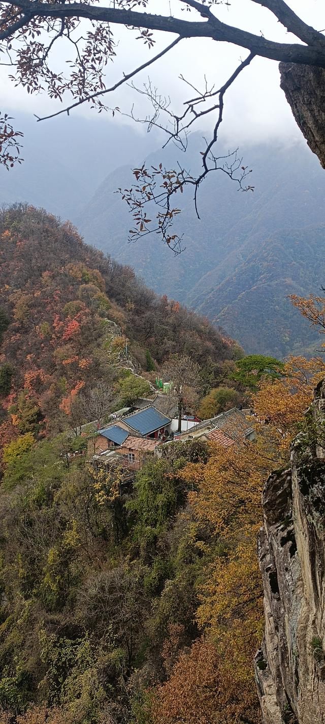 最爱秋意行不足 再上翠华赏秋色