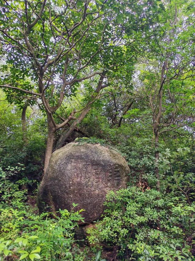 曾腾芳：在珠海登将军山