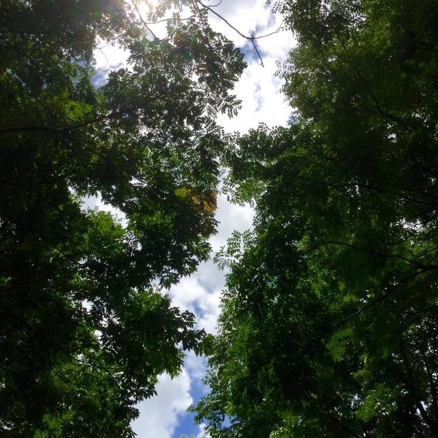 7月，夏天已经不会变成暑假来拯救我们了（下）