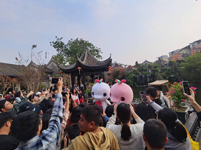 431万人次！ta们为何而来？