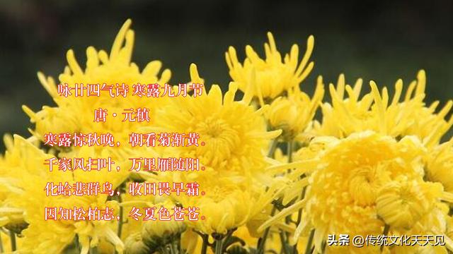 国庆长假最后一天中雨，闲坐家中品唐诗过寒露