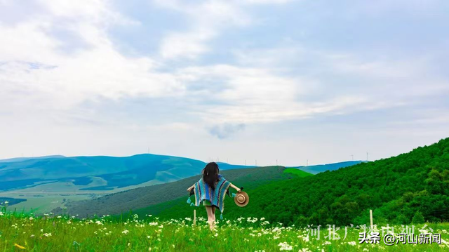 【河北“凉”策——解码夏日清凉经济热效应】沉浸式体验河北避暑N种方式