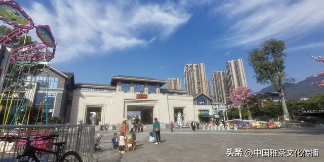 礼赞三葉花•酒店