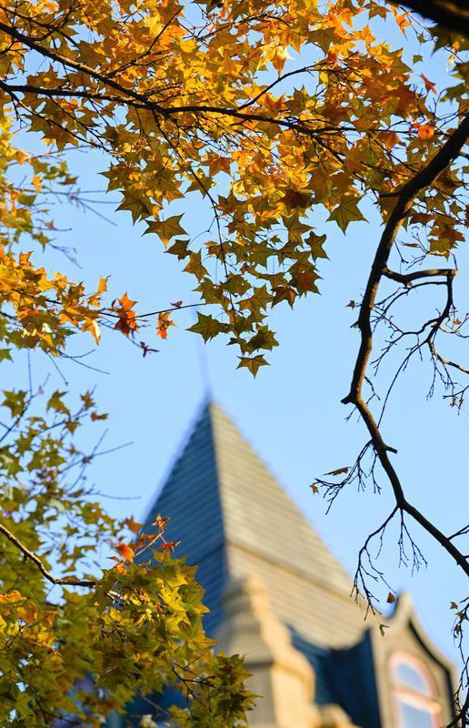 长春松苑宾馆：枫景如画醉游人