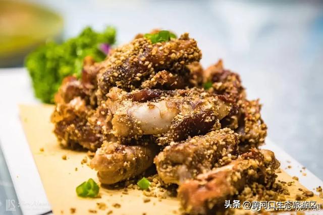 【黄河口生态旅游区】开学季 奔赴自然之美