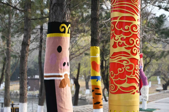 连云港：花果山大树集体穿上了“猴哥牌”毛衣