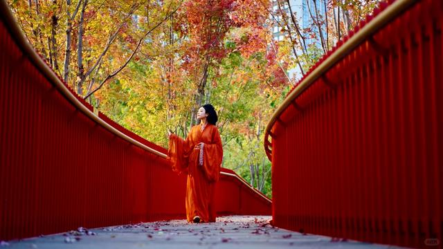 西安周末好去处——初冬8处宝藏公园免费又好玩！