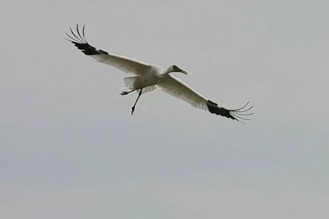 事关跨年！切记：余杭这里，不约！不约！