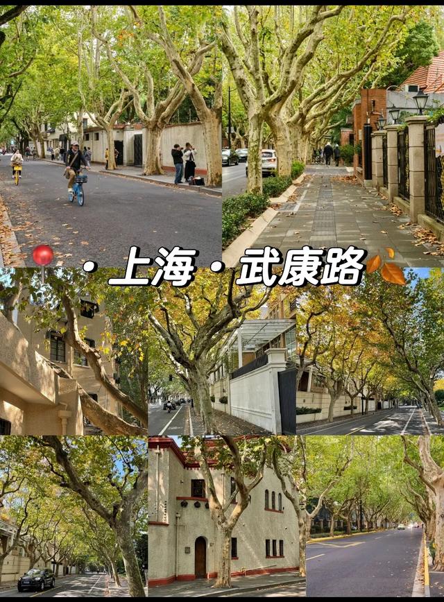 上海三日漫游：外滩风云、豫园雅趣、梧桐浪漫