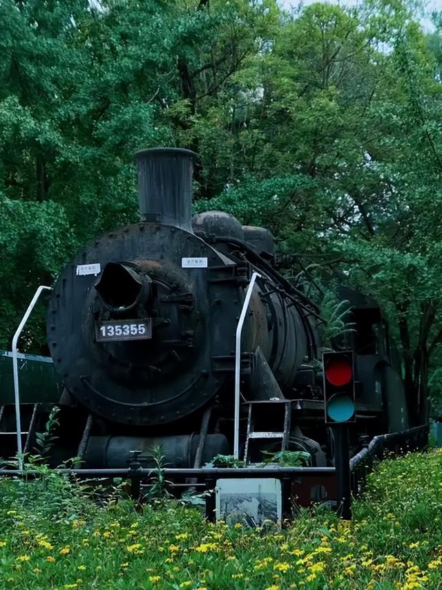 报废火车一节卖十几万？阿里拍卖引关注，文旅改造能赚钱吗？