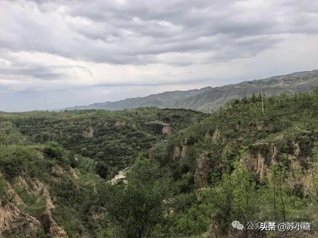 【山西游】碛口古镇，黄河岸边的烟火人间，黄土高原上的布达拉宫