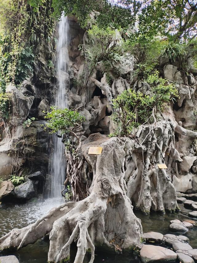 2026广东温暖之旅：黄埔军校旧址、顺德清晖园、华盖路