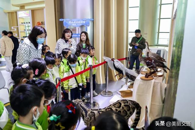 省交博会·衢州展区：公路串珠绘秘境，解锁“交通+”的融合魅力