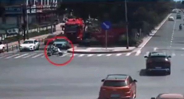 东莞交警交通安全提醒_小学生安全出行8注意_2026年寒假交通安全公开课