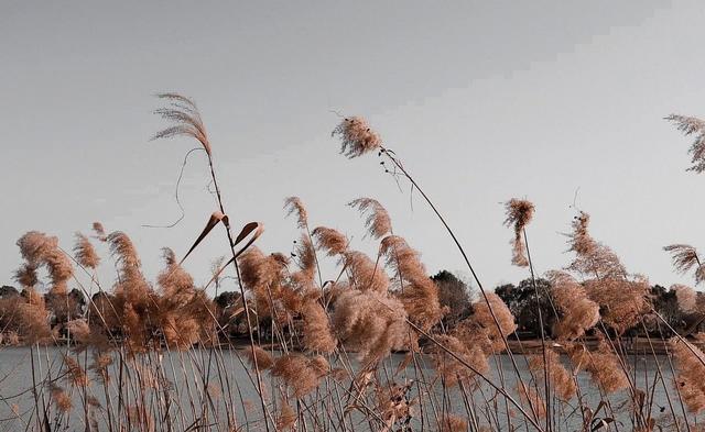 “最忌大雪是晴天”，今日大雪，大雪晴有何预兆？