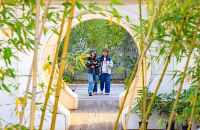 从从容容游刃有余!把江南的秋天“搬进”石景山——