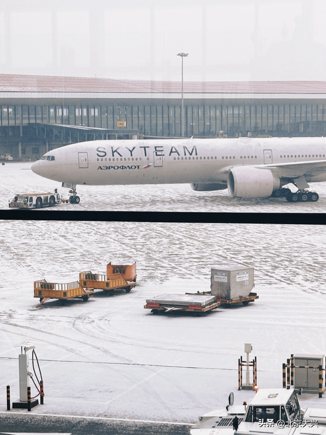 大兴初雪倒计时！5个宝藏赏雪点位，提前收藏——