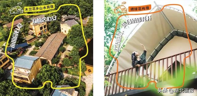 【知音湖北·魅力之城】十一不用去远方，黄陂就是好地方！