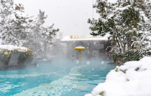 天鹅畅游圈剧透：五部恋歌，首篇「天鹅絮语」上线！