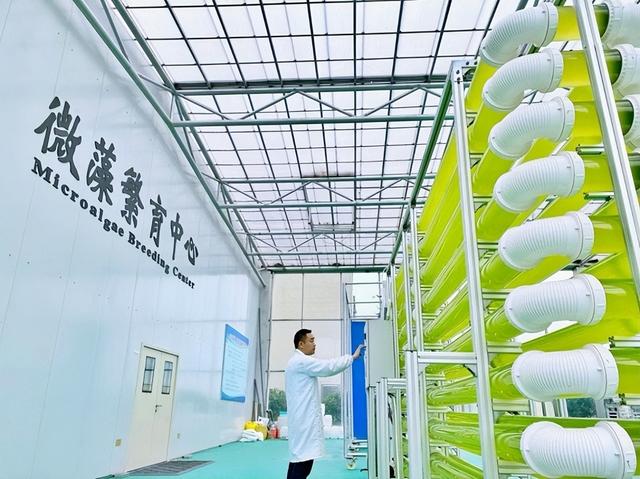 赐百年及高志刚博士荣获中国商业联合会科学技术奖一等奖！