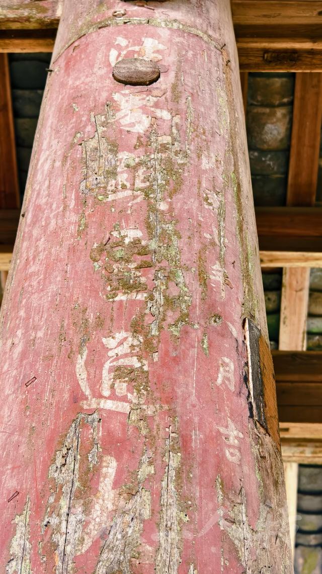 皖浙摩旅二人转——松阳普济桥篇
