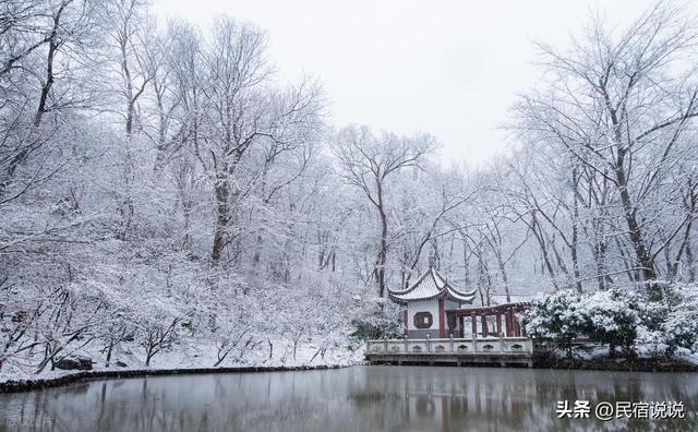 南京在大寒里突现“名场面”，据说都藏在这里，超值得玩。