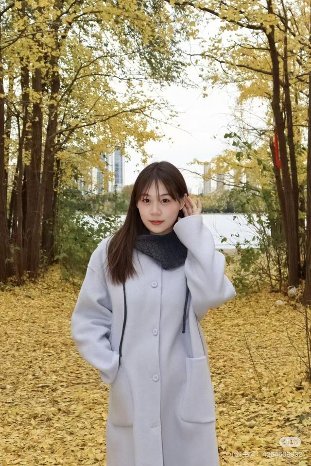 最适合拍银杏的地方！ 临沂十个0元打卡点，抓住今年最后的金色风暴！