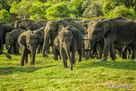 万物共生 和美永续|生物多样性 你我共参与图片