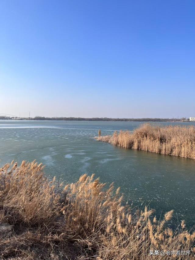 敬慕孙敬学堂 || 朱新春