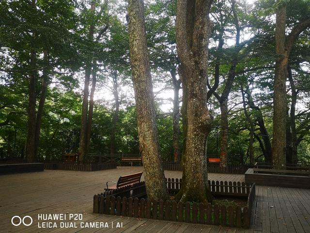 酷暑中探秘雪峰山巅峰的奥妙