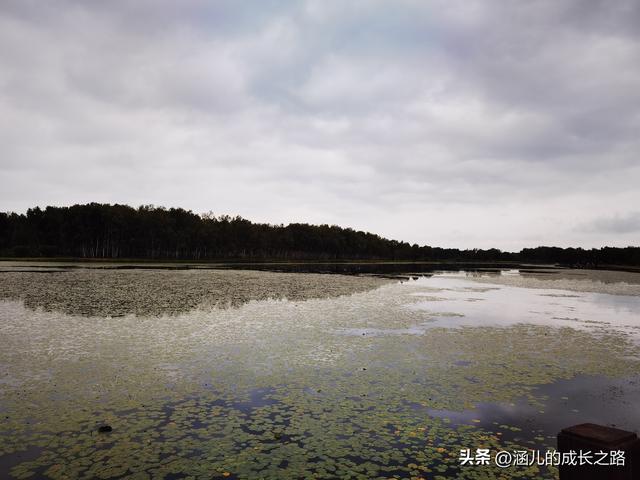 总要去趟草原吧！自驾塞罕坝和乌兰布统超简攻略（附图超全）