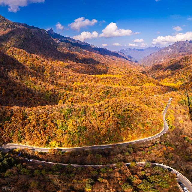 秋冬景观大道，10月下旬-11月，适合自驾赏秋的6条线路